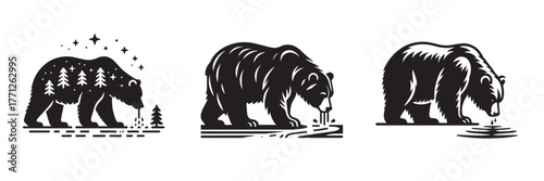 Bear Illustrations: Nature Wildlife and Wilderness Designs.