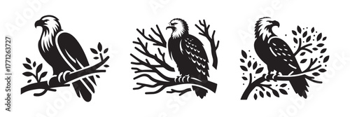 Eagle Perched on Branch: A Trio of Majestic Avian Silhouettes.