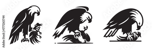 Majestic Eagle Trio: Powerful Birds of Prey in Silhouette.