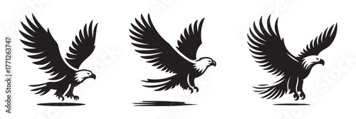 Soaring Eagles: A Trio of Majestic Birds in Flight.