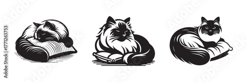 Cats Resting on Pillows: A Monochrome Illustration.