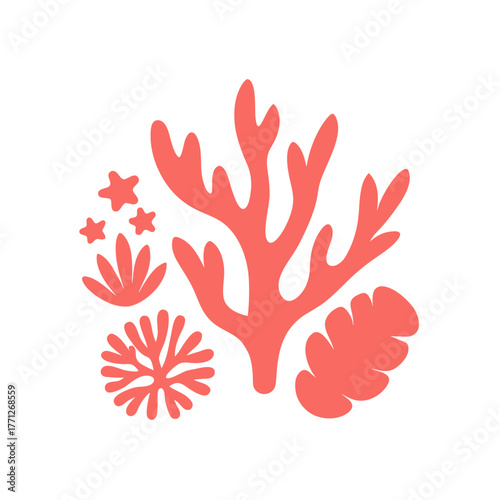 Beautiful Coral Elements Scattered Flat Lay on a White Background