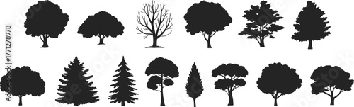 Tree silhouettes collection, vector forest icons, isolated deciduous and evergreen trees, botanical elements, outdoor landscape design, ecology, nature illustration set