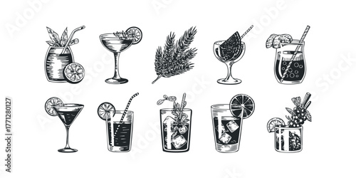 Collection of Hand-Drawn Beverage and Botanical Illustrations
