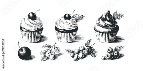 Line art collection of cupcakes with cherry and berry toppings