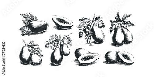 Collection of Papayas and Gourds on Branches