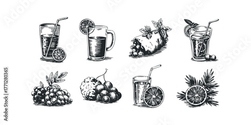 Hand Drawn Fruit and Drink Collection