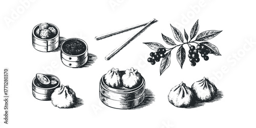 Dim Sum Dumpling and Berry Branch Sketch