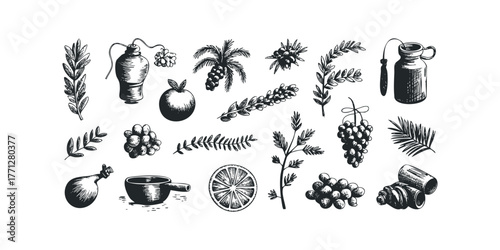 Collection of Hand Drawn Botanical and Kitchenware Elements