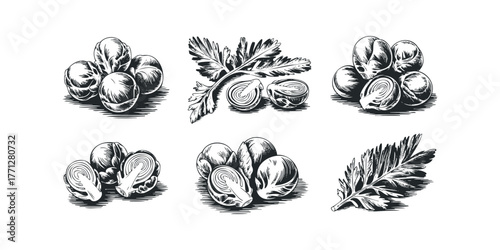 Vintage Style Sprouts and Greens Collection