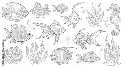 A detailed hand-drawn illustration of diverse marine life, featuring various fish, coral, seaweed, and a seahorse in an underwater scene.