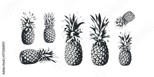 Set of six hand-drawn pineapple illustrations on white background