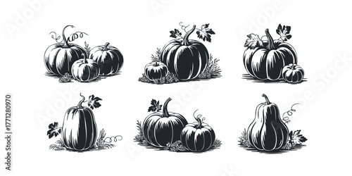 Six Stylized Pumpkin Arrangements with Leaves and Grass