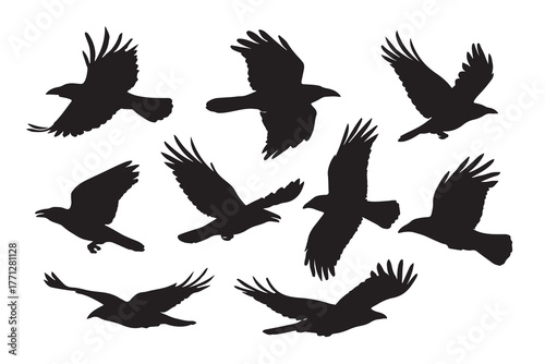 black crow silhouette bundle collection