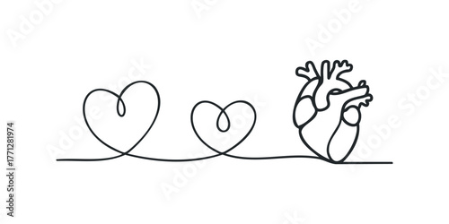 Simple line drawing of a heart transitioning to anatomical heart