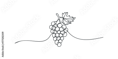 Continuous line drawing of a grape cluster and leaf