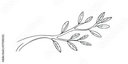 Hand Drawn Branch with Leaves Outline