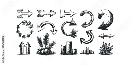 Collection of Hand Drawn Arrows and Decorative Elements