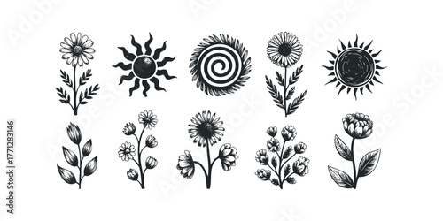 Collection of Hand Drawn Botanical Flowers and Sun Symbols