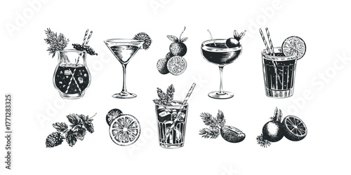 Collection of Hand-Drawn Refreshing Summer Drinks and Citrus Fruit