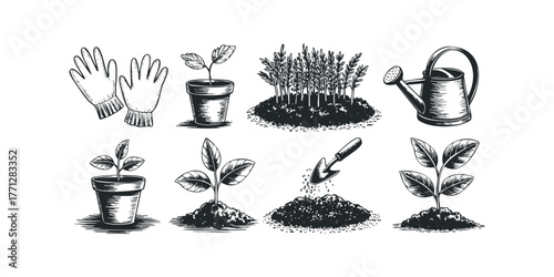 Gardening tools and young plants in pots with soil