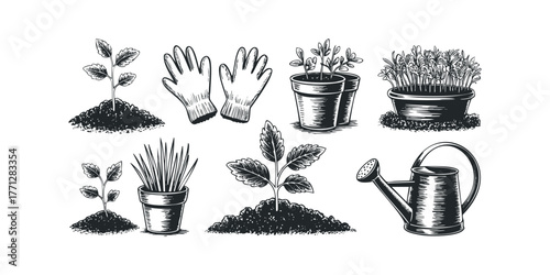 Gardening tools and young plants in pots with soil