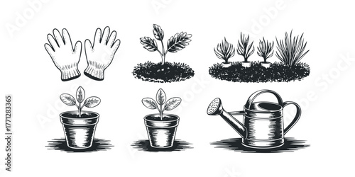 Gardening tools and plant sprouts vector icons