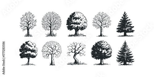 Collection of Ten Hand Drawn Tree Silhouettes