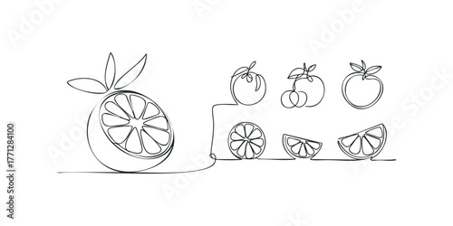 Continuous line drawing of assorted fruits