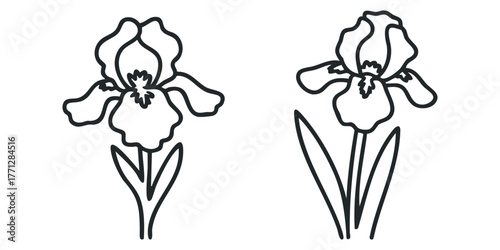 Two stylized iris flowers in simple line art form