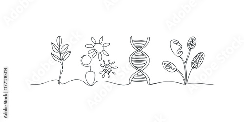 Scientific evolution and plant growth single line drawing