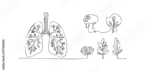 Continuous Line Drawing of Lungs and Plants