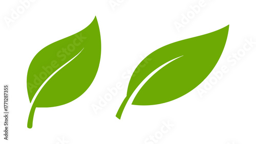 Set of Green Leaves isolated on white background