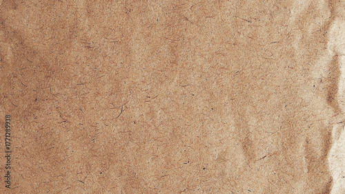 Old Brown Paper Texture background.