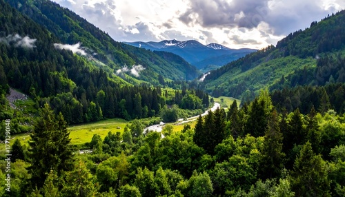 Green valley with dense forests and a winding river under a cloudy sky, leading to distant blue mountains