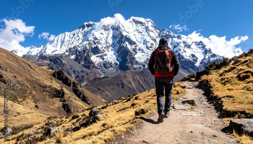 Hiker walks on path with majestic snowy mountain backdrop under clear sky on sunny day, golden grass field visible