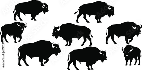 Bison silhouette vector set, black buffalo icons, side profile poses, wild animal design, prairie wildlife illustration, American nature artwork, rustic theme