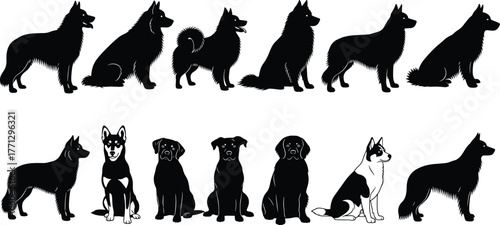 Dog breed silhouette vector set, black pet icons, sitting and standing poses, canine anatomy illustration, domestic animal artwork, loyal companion theme