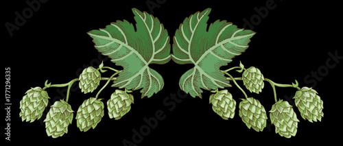 Hop plant border sketched vector