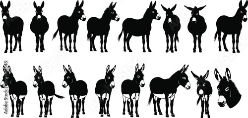 Donkey vector set, black silhouette and detailed illustrations, farm animal poses, realistic sketch design, rural wildlife art, hand-drawn livestock icons