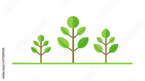 Three growing trees against a black background