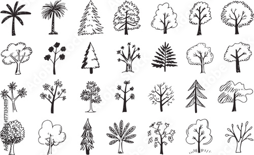 Hand drawn black and white trees collection nature sketches
