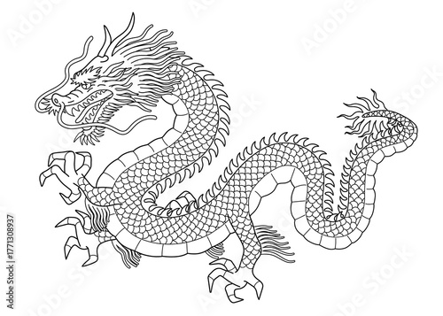 ドラゴン　線画