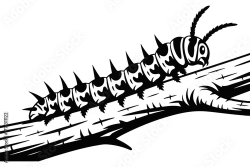 A detailed black and white illustration of a spiky caterpillar crawling on a tree branch, showcasing its segmented body and antennae in a scientific art style
