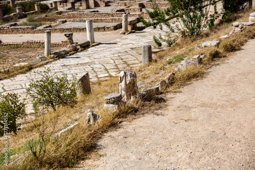 Garden with roman ruins in El Djem archaeological museum, Tunisia