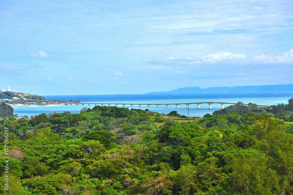 Obraz premium 沖縄県本部半島古宇利大橋を望む風景