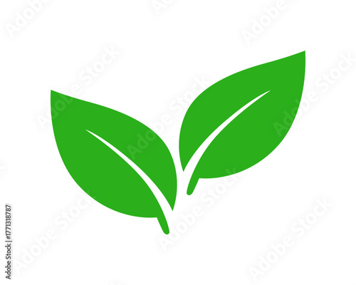 Logo oder Icon mit zwei grünen Blättern