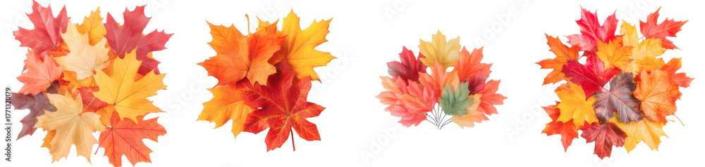 Obraz premium Autumn's Colorful Canopy: A captivating display of vibrant autumn leaves showcasing the rich tapestry of nature's seasonal transformation, exhibiting the vivid hues and textures.