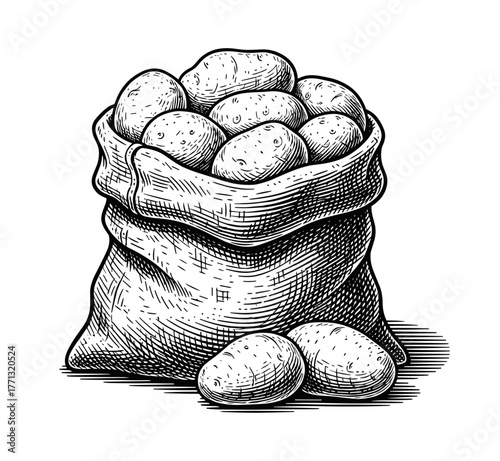 Sack of potatoes in vintage illustration in black and white