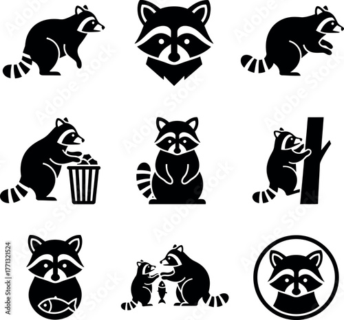 set of raccoon